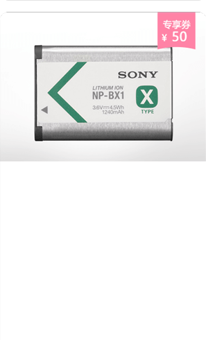 <span style="color:#068928">NP-BX1<br>可重復充電電池</span>