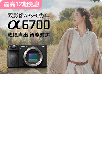 <span style="color:#068928">Alpha 6700<br>APS-C畫幅微單?</span>