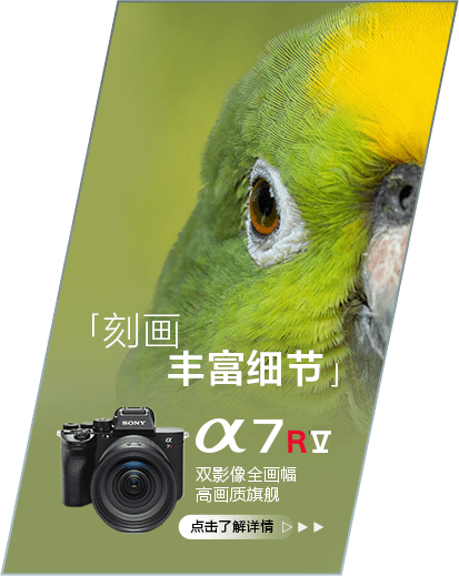 索尼微單 捕捉生命精彩瞬間
