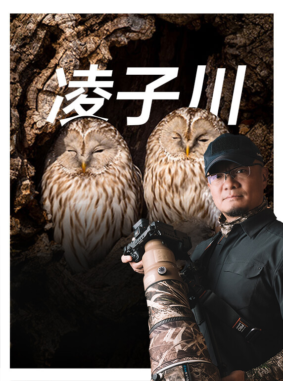 索尼雙影像生態(tài)拍攝系統(tǒng)