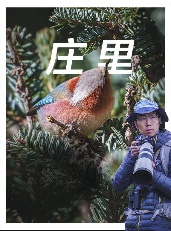 索尼雙影像生態(tài)拍攝系統(tǒng)