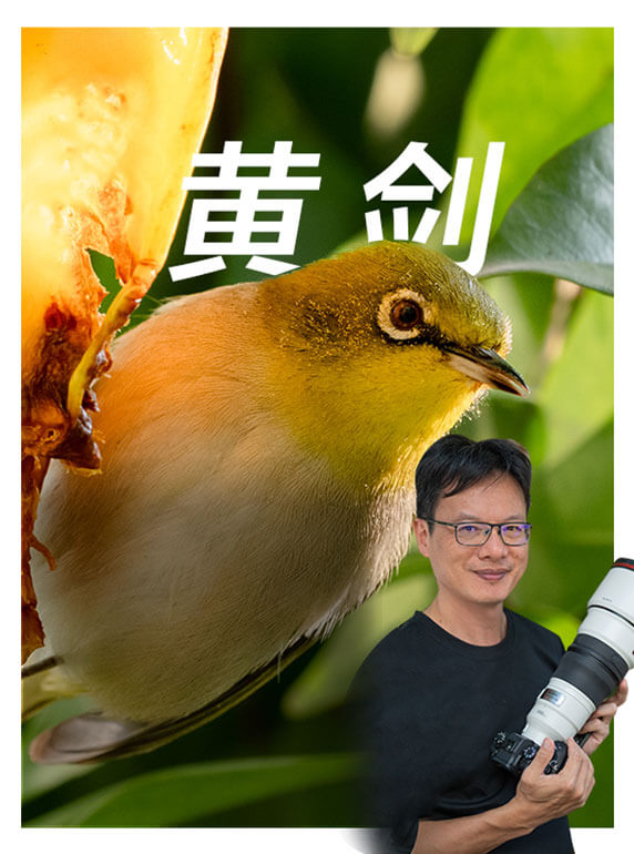 索尼雙影像生態(tài)拍攝系統(tǒng)