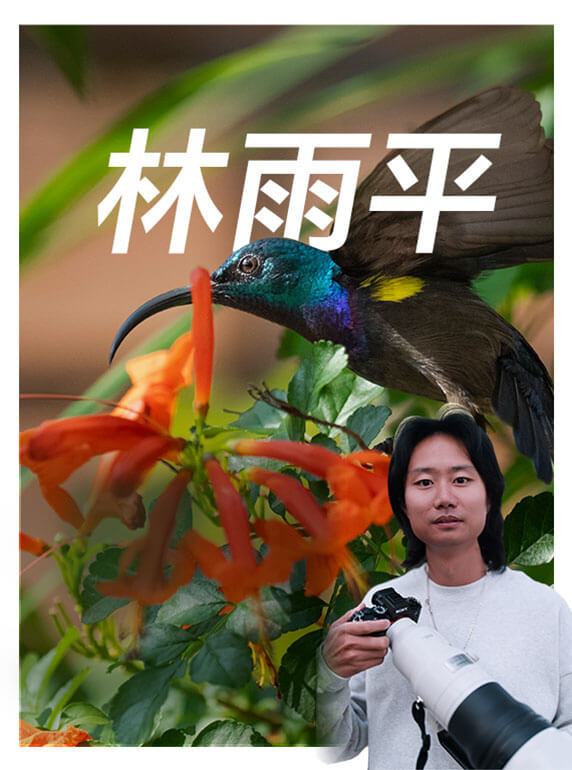 索尼雙影像生態(tài)拍攝系統(tǒng)