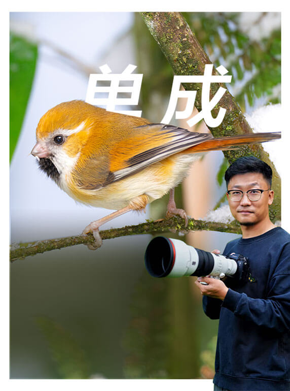 索尼雙影像生態(tài)拍攝系統(tǒng)
