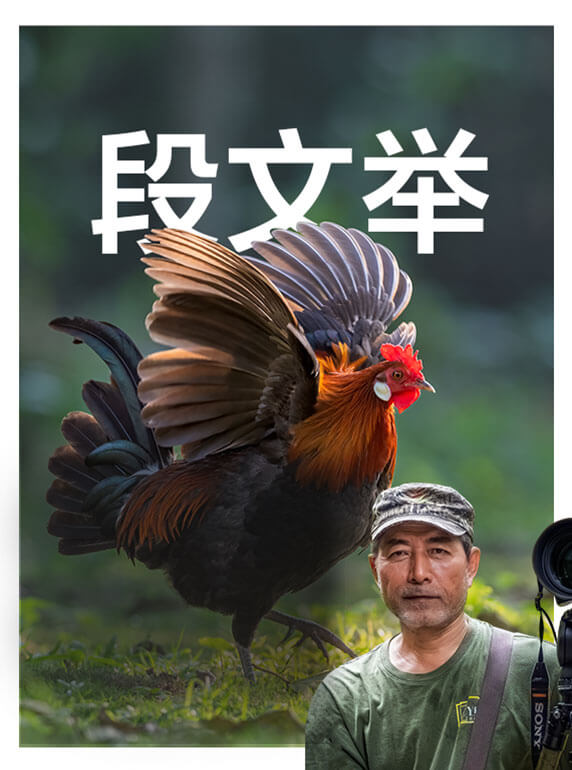 索尼雙影像生態(tài)拍攝系統(tǒng)