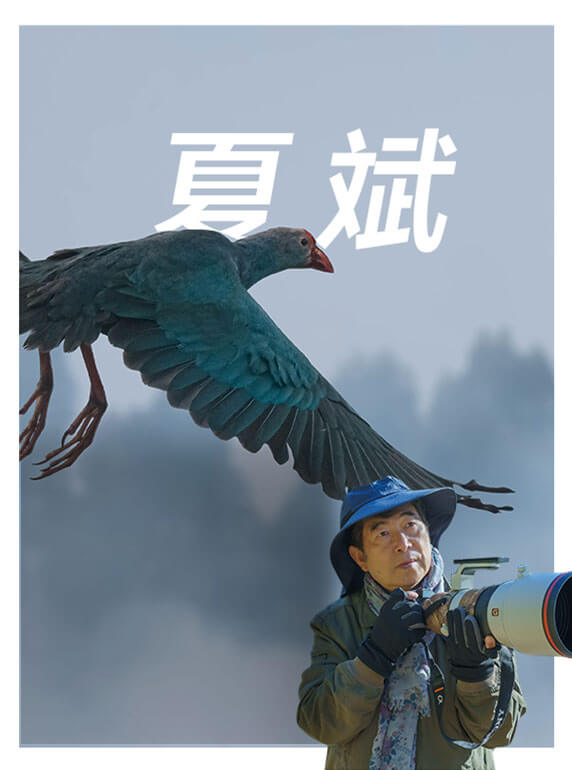 索尼雙影像生態(tài)拍攝系統(tǒng)