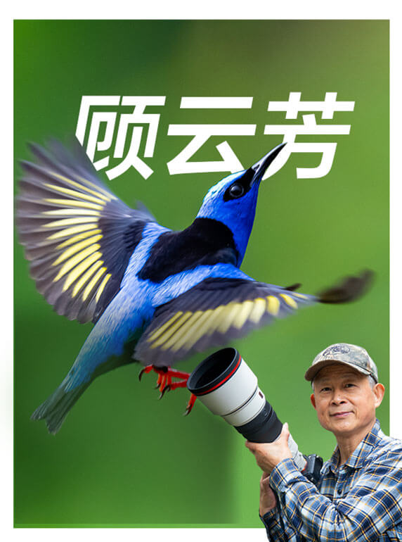 索尼雙影像生態(tài)拍攝系統(tǒng)