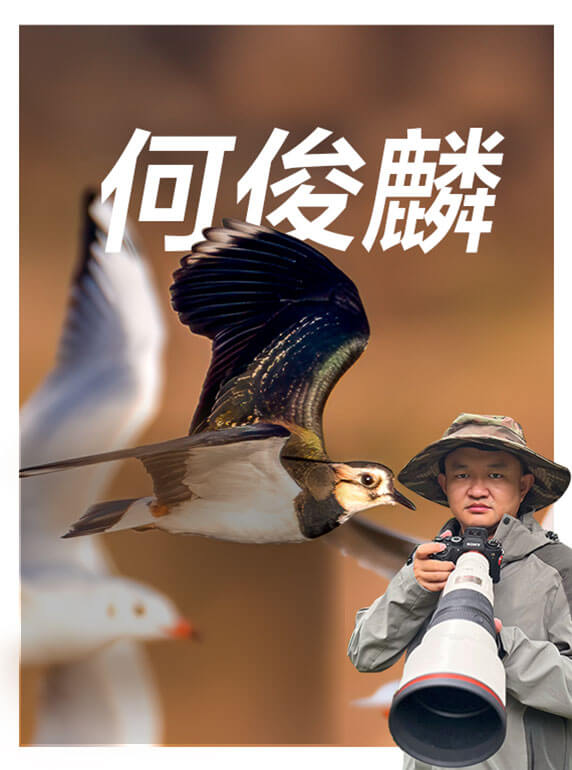 索尼雙影像生態(tài)拍攝系統(tǒng)