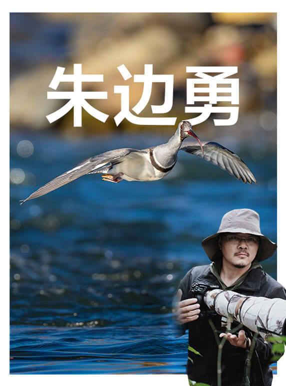索尼雙影像生態(tài)拍攝系統(tǒng)