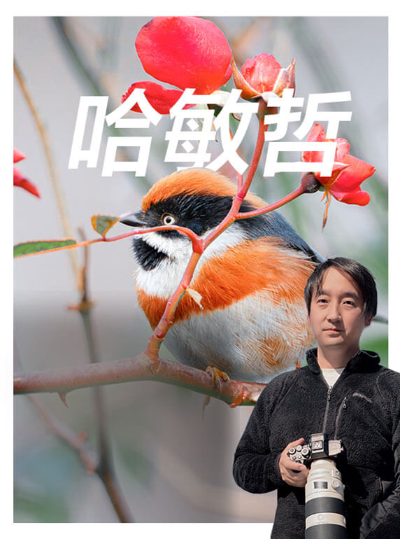 索尼雙影像生態(tài)拍攝系統(tǒng)