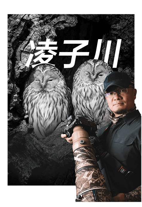 索尼雙影像生態(tài)拍攝系統(tǒng)