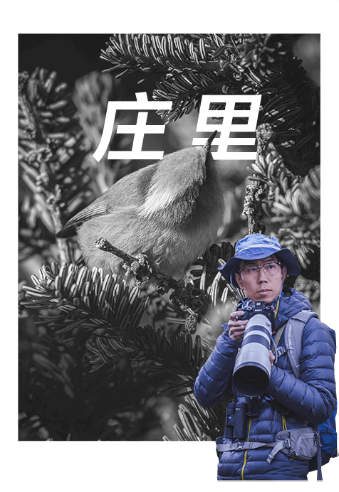 索尼雙影像生態(tài)拍攝系統(tǒng)