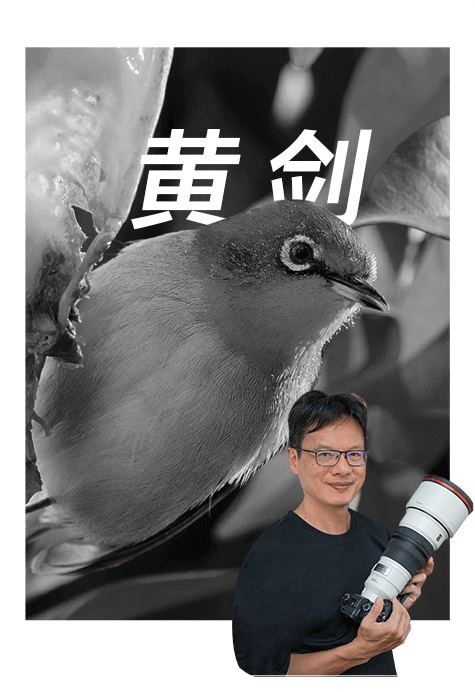 索尼雙影像生態(tài)拍攝系統(tǒng)