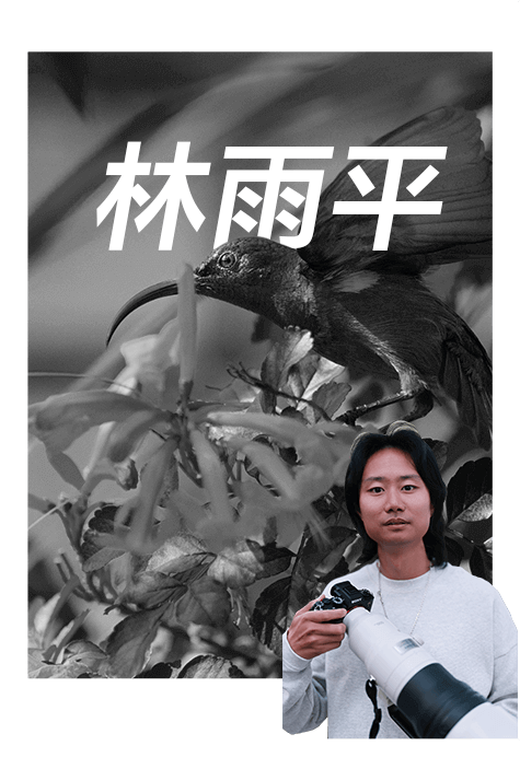 索尼雙影像生態(tài)拍攝系統(tǒng)