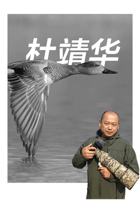 索尼雙影像生態(tài)拍攝系統(tǒng)