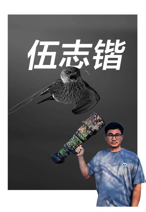 索尼雙影像生態(tài)拍攝系統(tǒng)