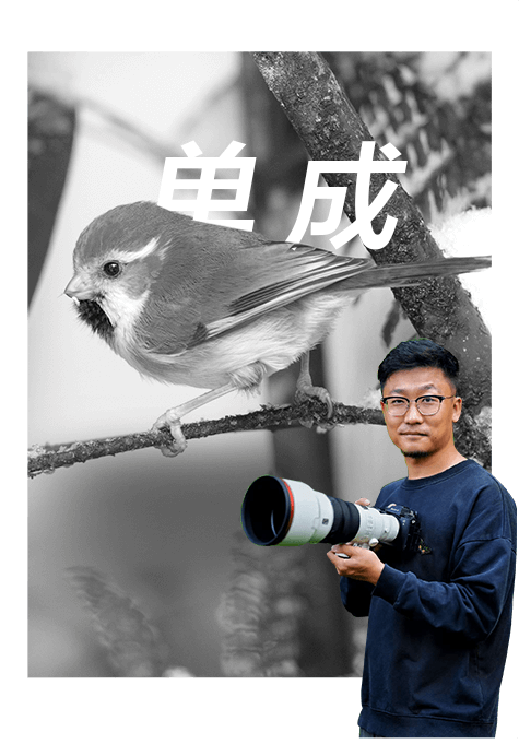 索尼雙影像生態(tài)拍攝系統(tǒng)