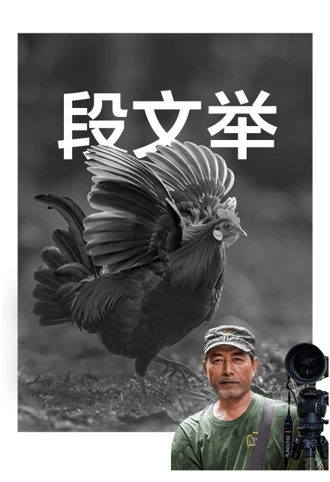 索尼雙影像生態(tài)拍攝系統(tǒng)