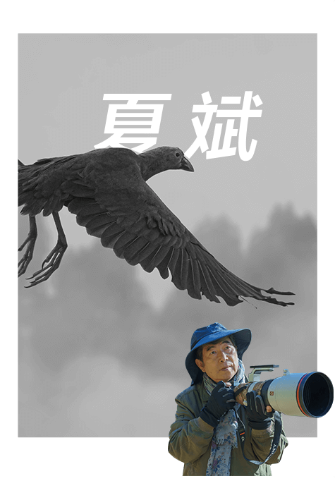 索尼雙影像生態(tài)拍攝系統(tǒng)