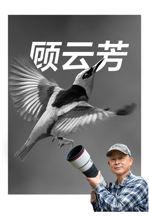 索尼雙影像生態(tài)拍攝系統(tǒng)