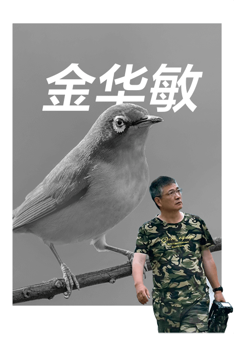 索尼雙影像生態(tài)拍攝系統(tǒng)