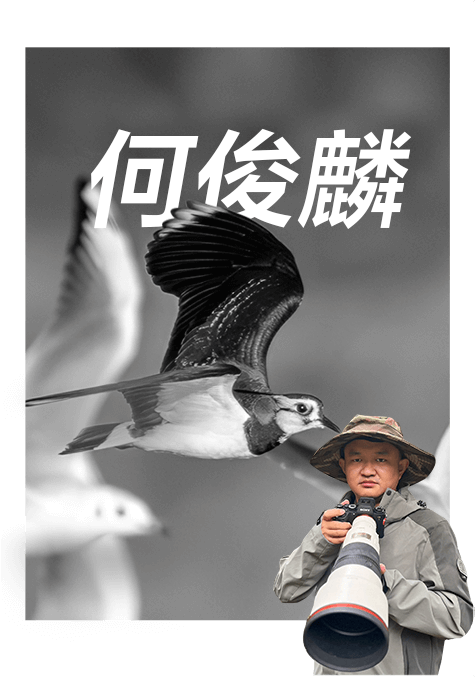 索尼雙影像生態(tài)拍攝系統(tǒng)
