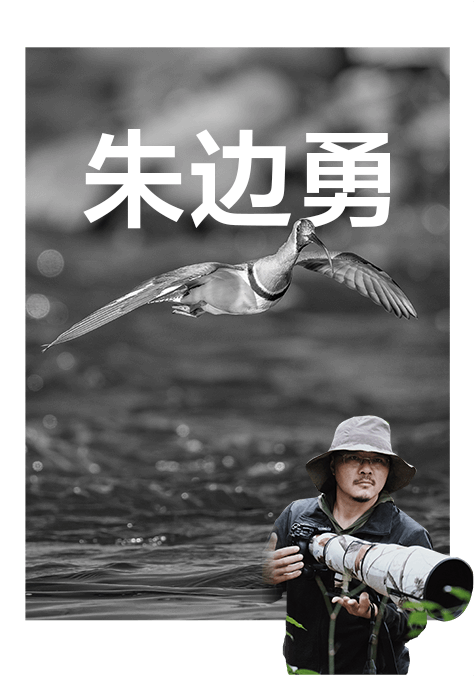 索尼雙影像生態(tài)拍攝系統(tǒng)