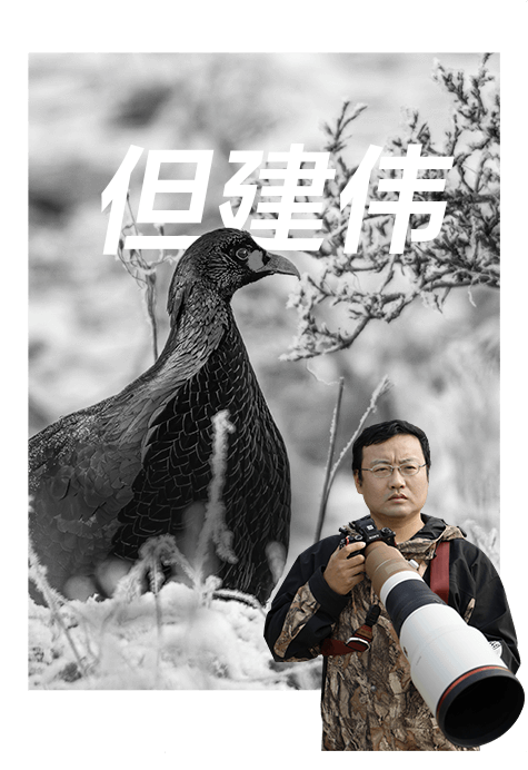 索尼雙影像生態(tài)拍攝系統(tǒng)