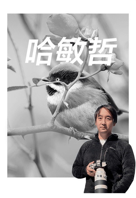 索尼雙影像生態(tài)拍攝系統(tǒng)