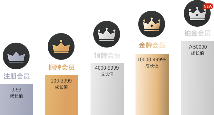 會(huì)員等級(jí)的劃分